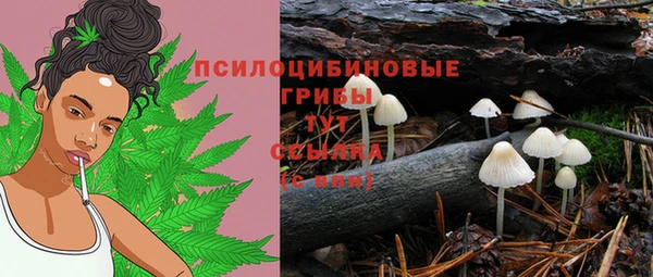 мескалин Балахна