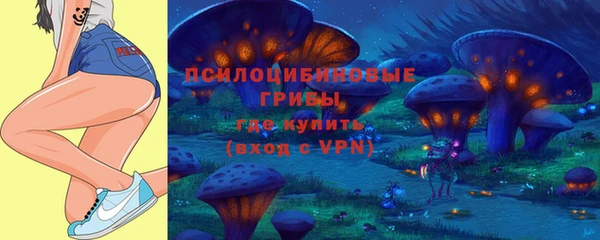 стаф Баксан