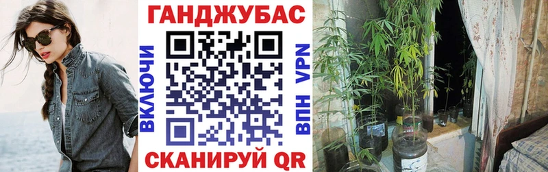 Каннабис OG Kush  Купить где  Апрелевка 